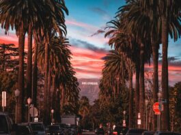porta sismica California faglie