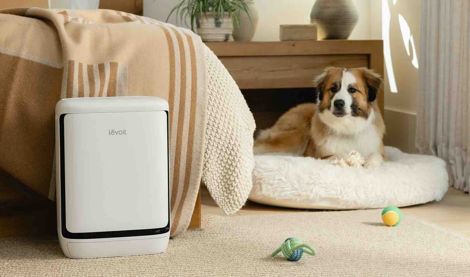 Levoit Vital Pet Pro: il purificatore smart per chi ha animali
