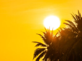 vitamina d sole estivo