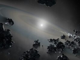 nane bianche Terra