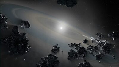 nane bianche Terra
