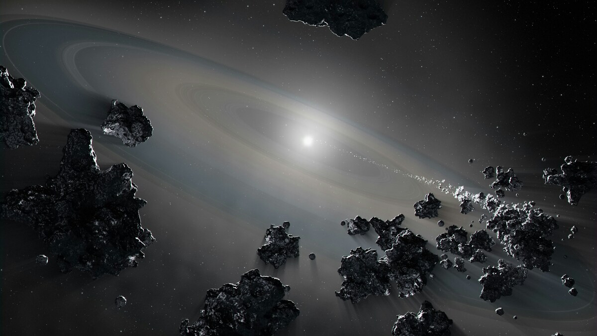 nane bianche Terra
