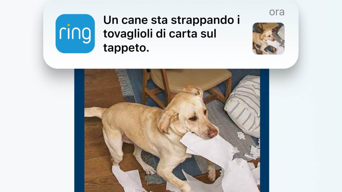 Ring introduce nuove funzioni AI e la crittografia TAKE