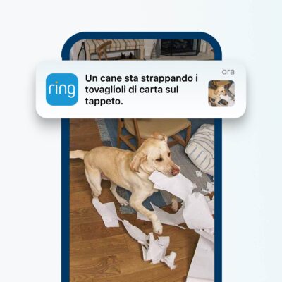 Ring introduce nuove funzioni AI e la crittografia TAKE