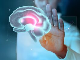 motivazione circuito cerebrale