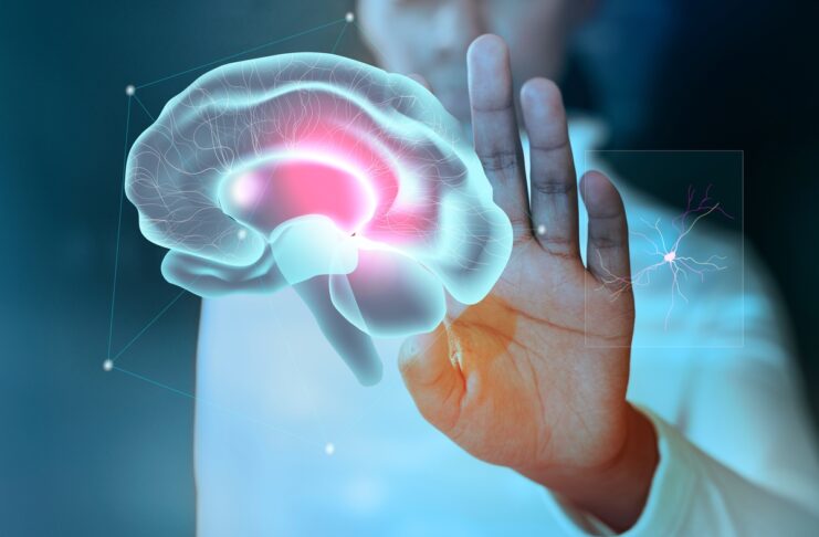 motivazione circuito cerebrale