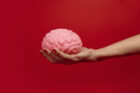 ormone stress cervello ripararsi