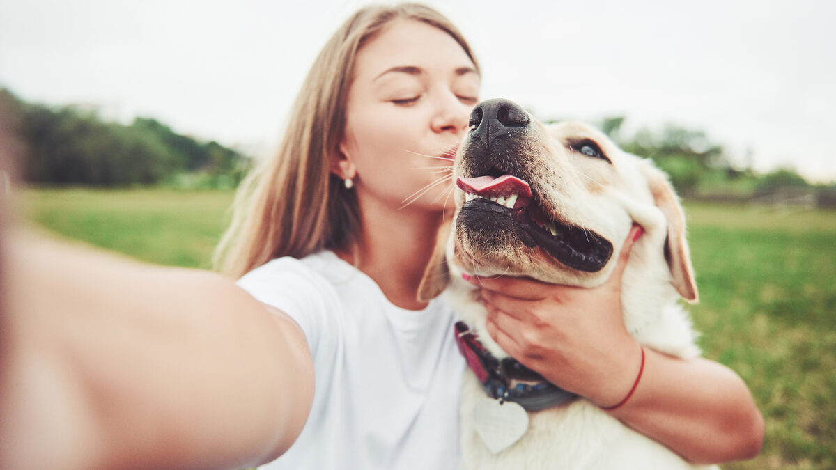 ictus cani riabilitazione