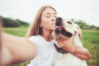 ictus cani riabilitazione