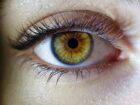 ADHD, un indizio potrebbe nascondersi negli occhi: cosa hanno scoperto gli scienziati