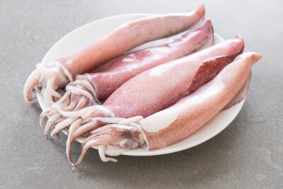 calamari oceani