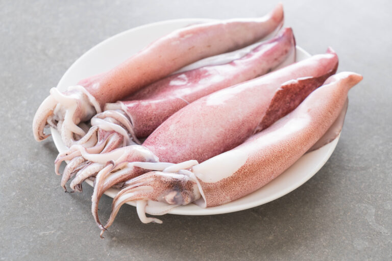 calamari oceani
