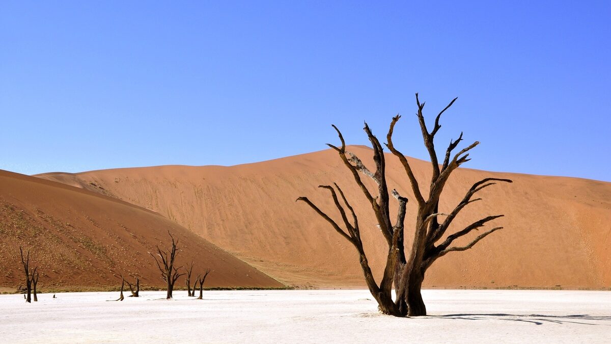 colonna roccia Africa