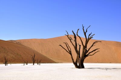 colonna roccia Africa
