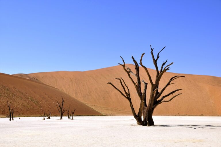 colonna roccia Africa