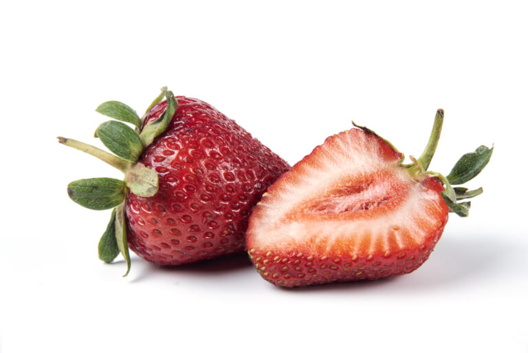 fragole tessuto produzione