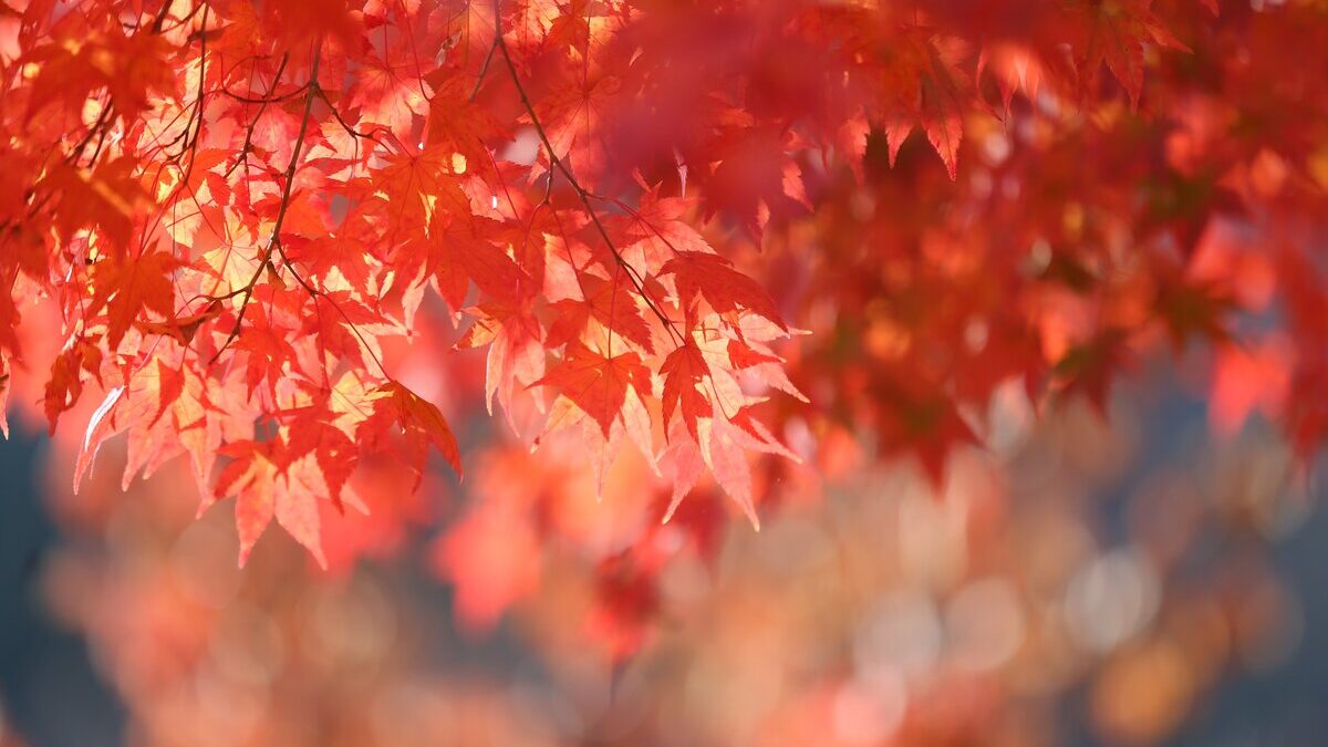 equinozio autunno
