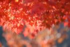 equinozio autunno