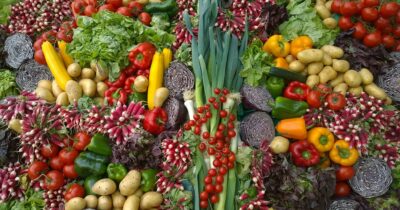 alimentazione-rischio-alternative-vegetali