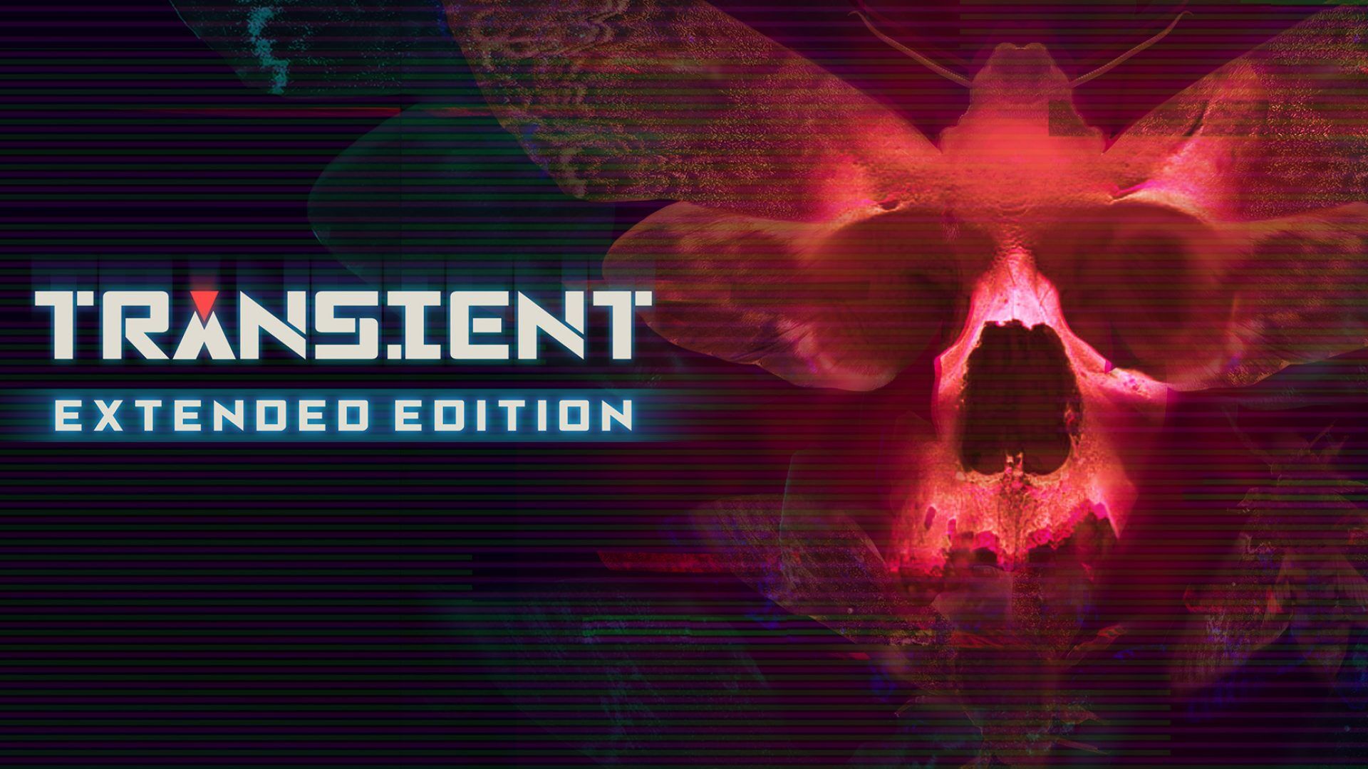 Transient: Extended Edition