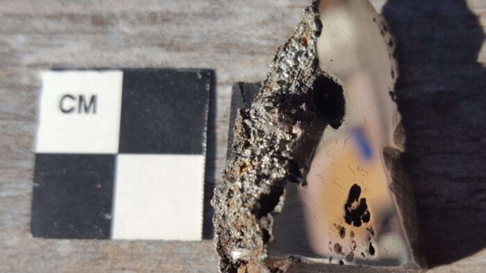 Un campione del meteorite di El Ali, ora ospitata nella collezione di meteoriti della University of Alberta, contiene due minerali mai visti prima sulla Terra. Ph. Credit: Collezione di Meteoriti dell'Università di Alberta